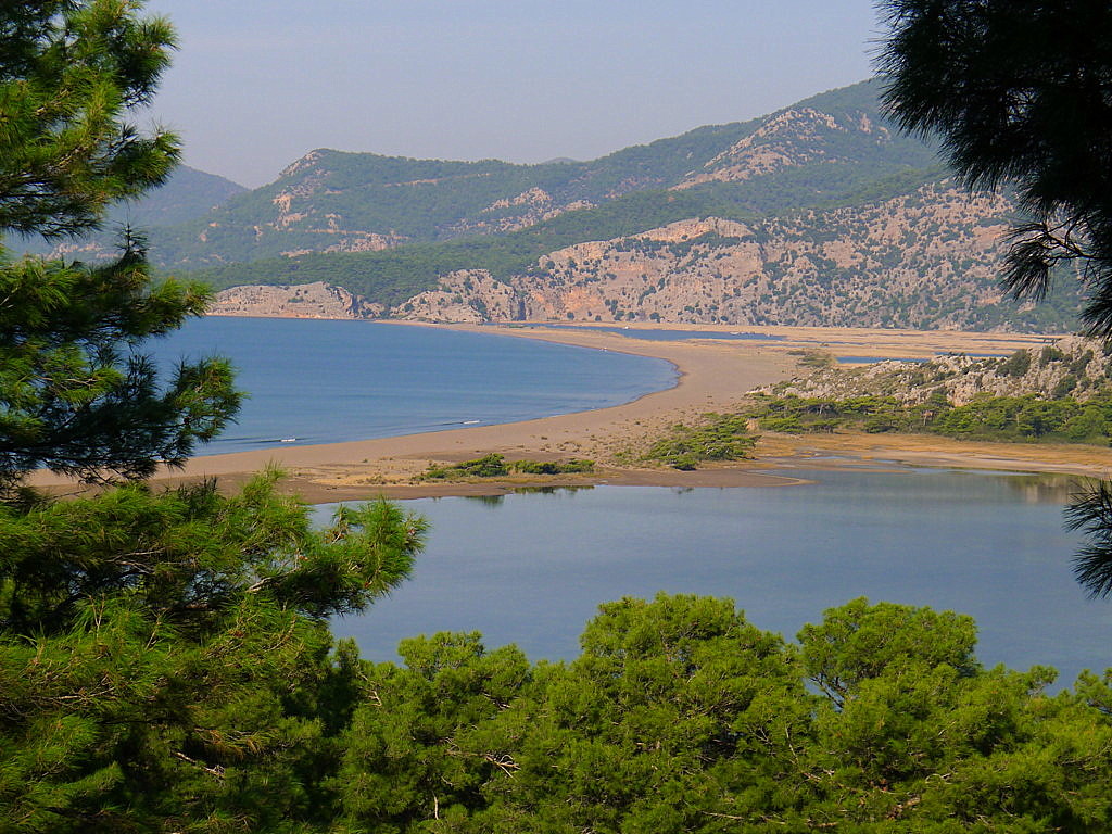 Dalyan-